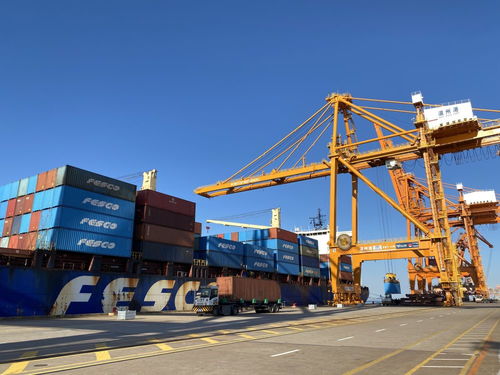 新華社聚焦 溫州 高水平開放助推高質量發(fā)展